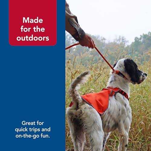 Braided Rope Dog Slip Leash K34682