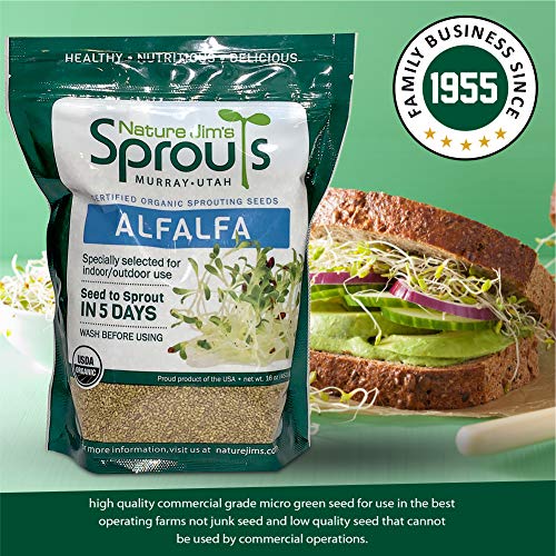 100% Organic Wheatgrass Seeds for Sprouting O460902