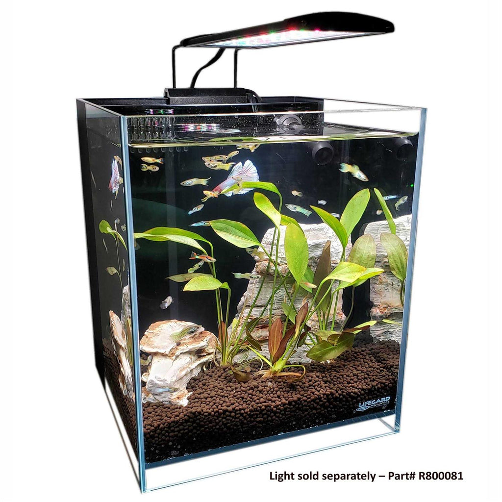 Low Iron Glass Aquarium with Filter I413467