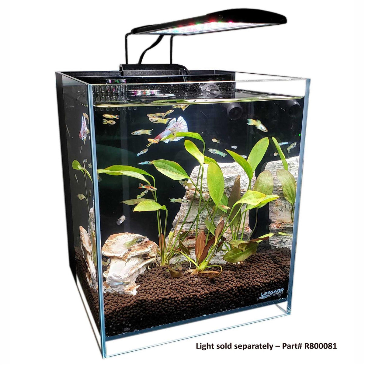 Low Iron Glass Aquarium with Filter I413467