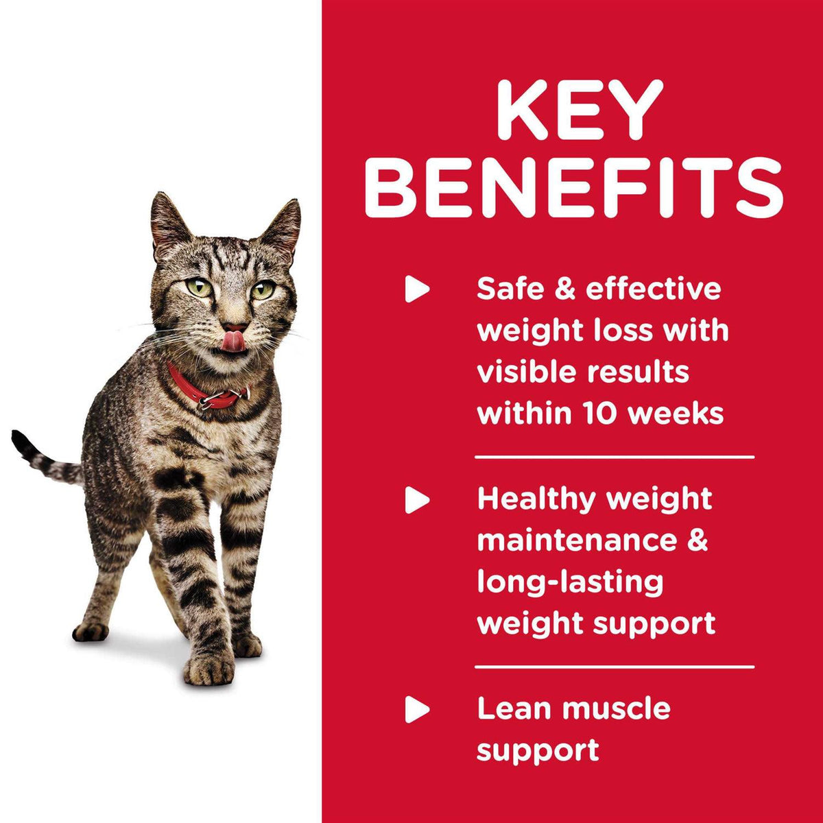 Adult Perfect Weight Roasted Vegetable & Chicken Medley Cat Food A392854