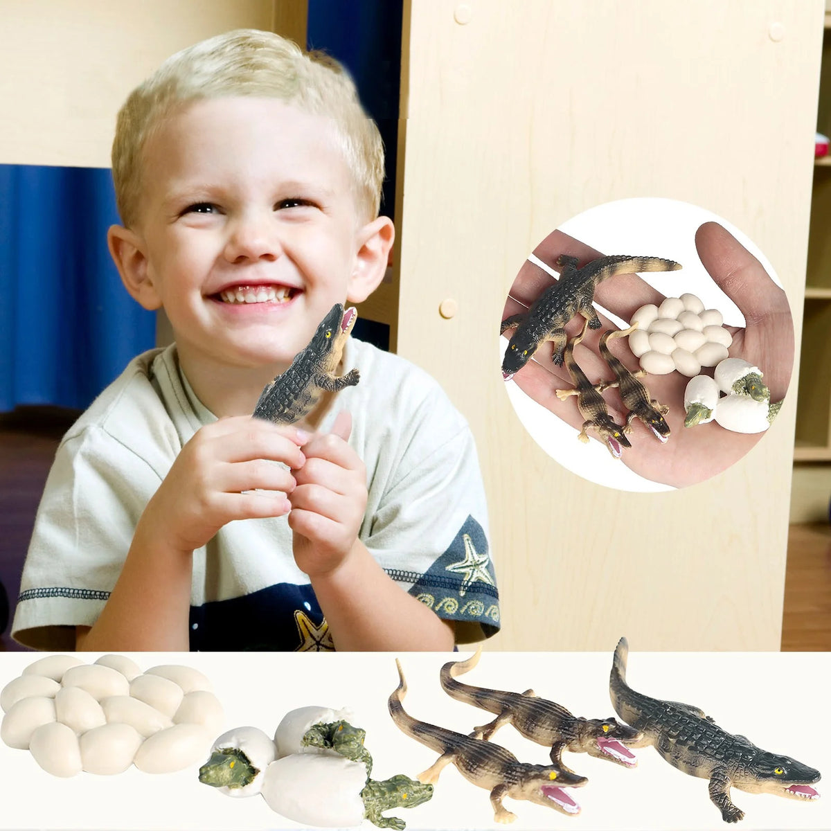 Educational Simulation Animal Growth Cycle Model Toys Z8210