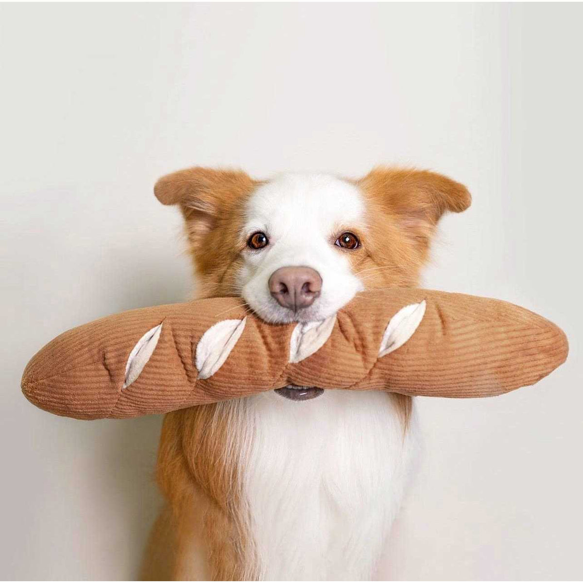 Dog Toy D6233