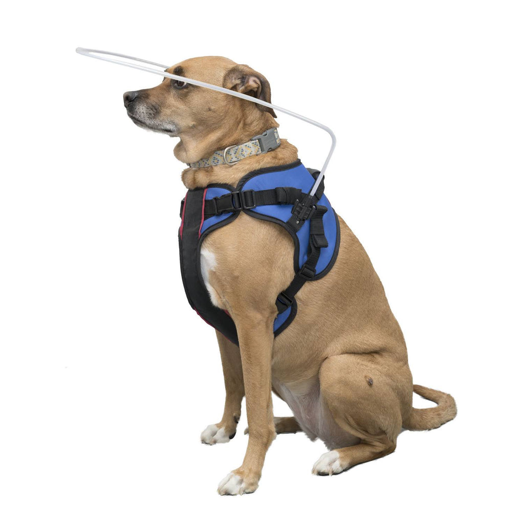 Blind Dog Halo Harness for Pets Over 30 lbs P59557
