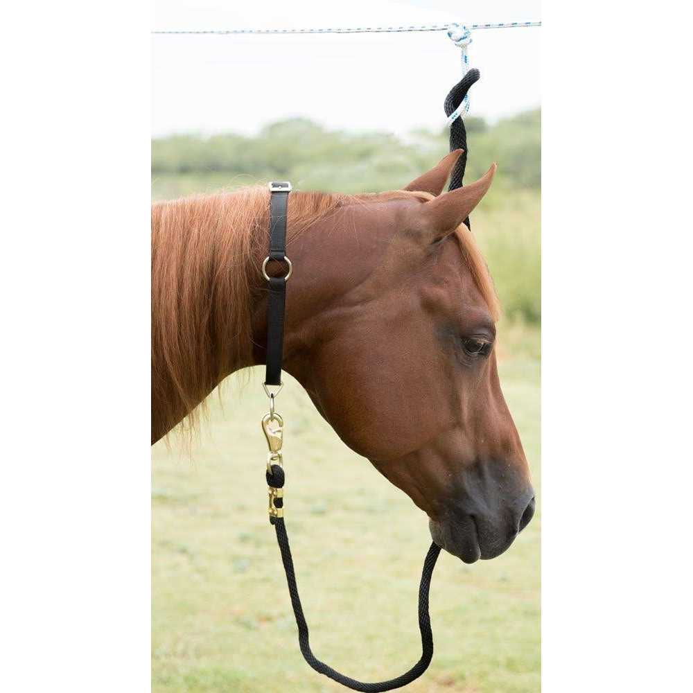 Pet Neck Collar L90111