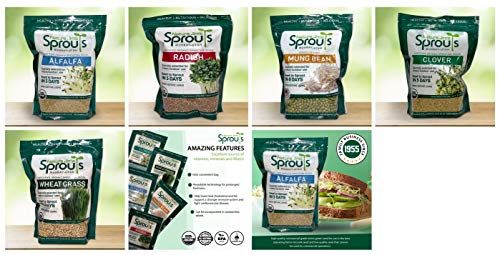 100% Organic Wheatgrass Seeds for Sprouting O460902
