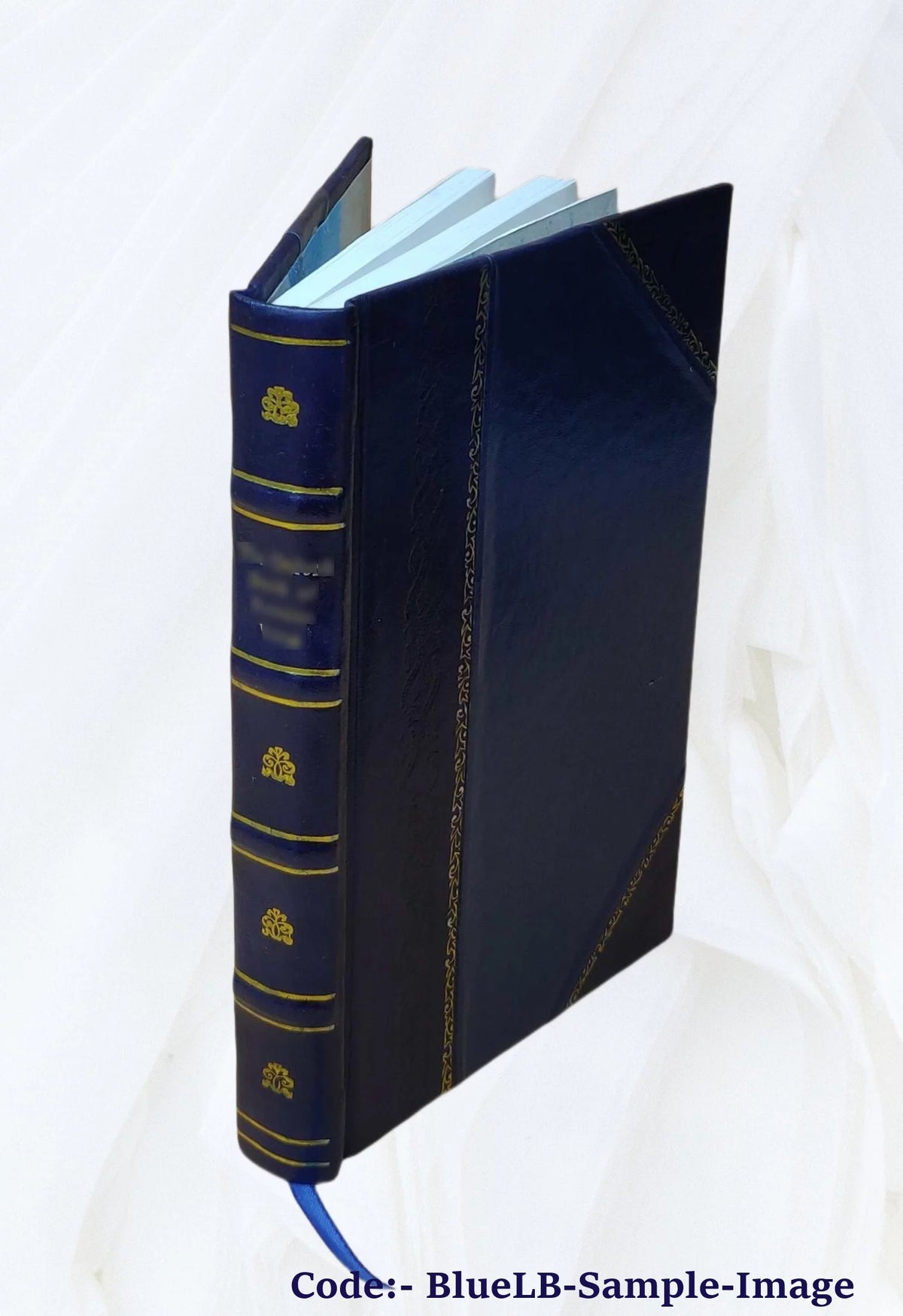 1903 Leather Bound N907061