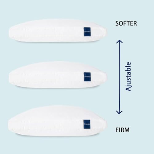 King Size Set of 2 Memory Foam Pillow N42338
