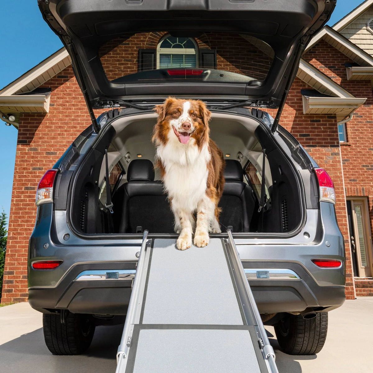 Telescoping Pet Ramp T89053