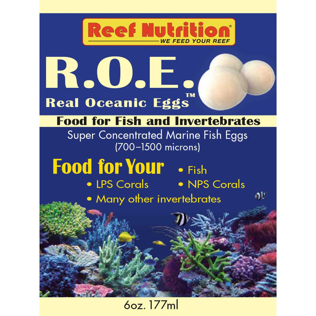 Real Oceanic Eggs Z933485