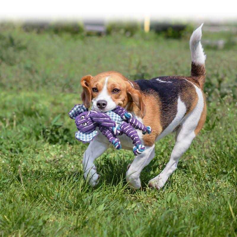 Elephant Dog Toy H990