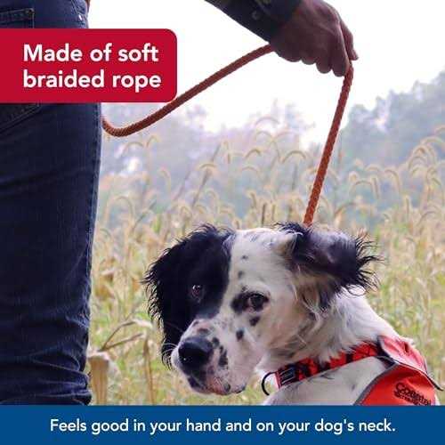 Braided Rope Dog Slip Leash K34682