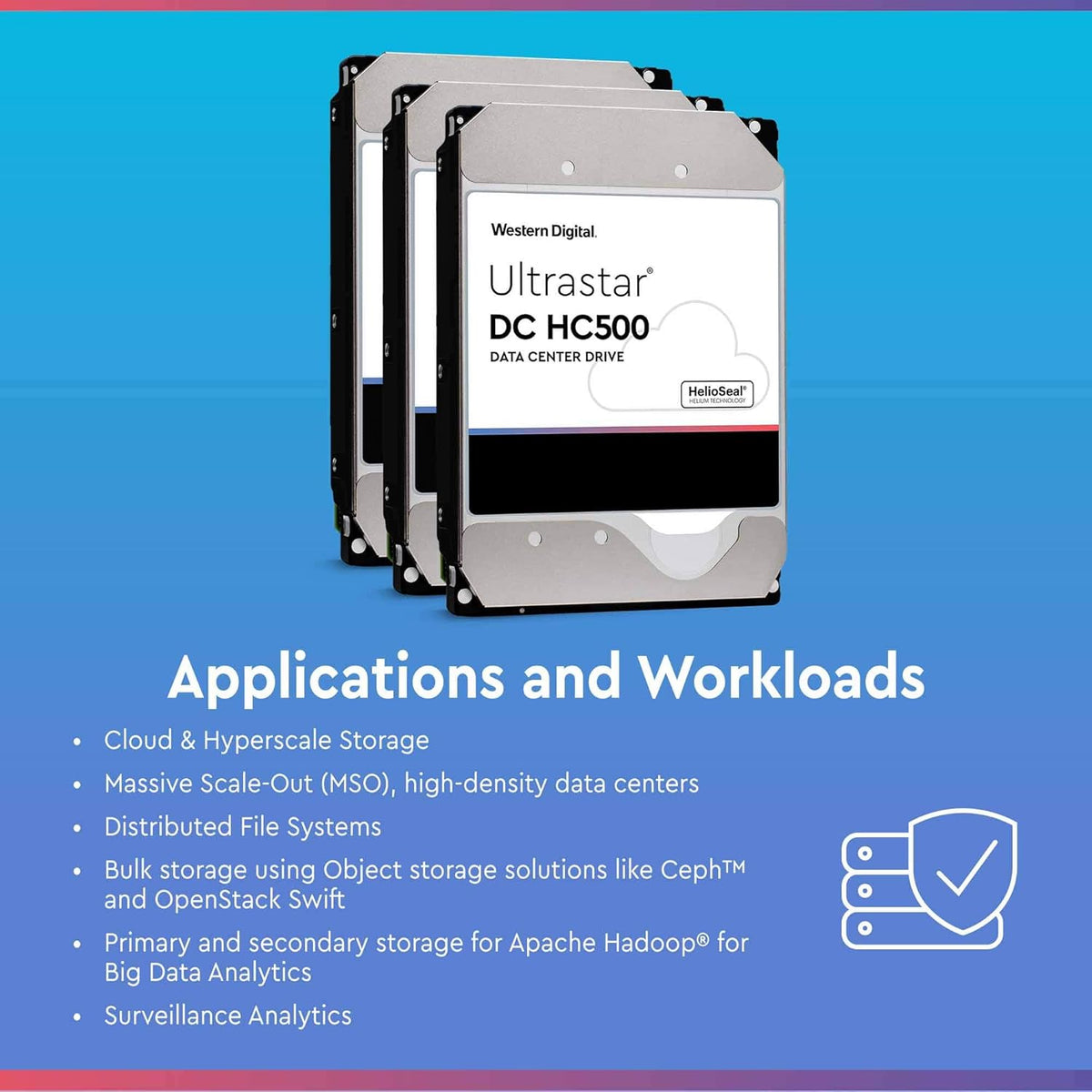 10TB SATA 7200 RPM 256MB Cache 3.5in Enterprise Hard Drive R8163