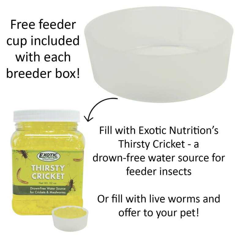 Mealworm Breeder Kit D112605