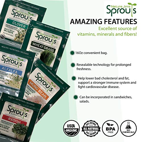 100% Organic Wheatgrass Seeds for Sprouting O460902