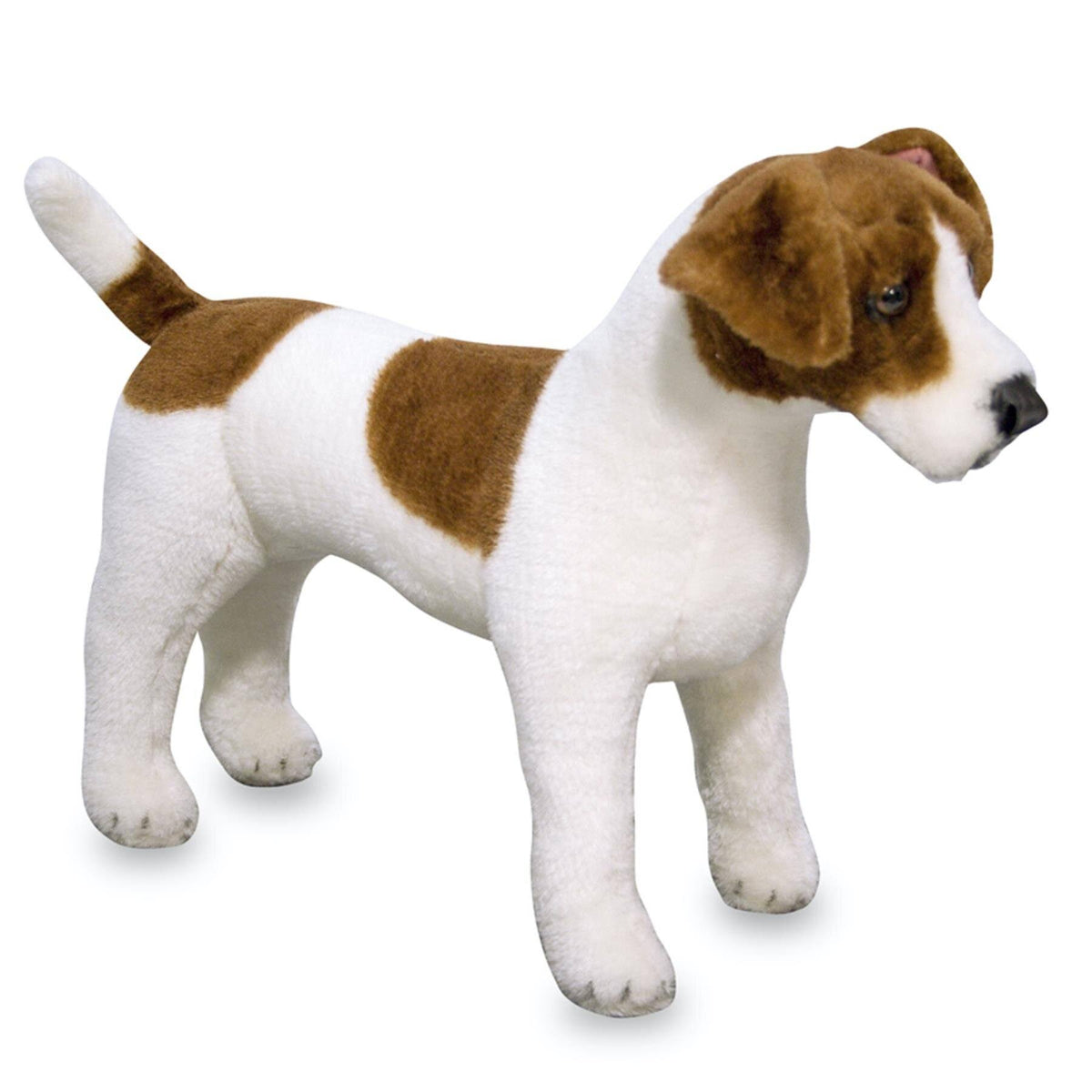 Giant Jack Russell Terrier Lifelike Dog C891589