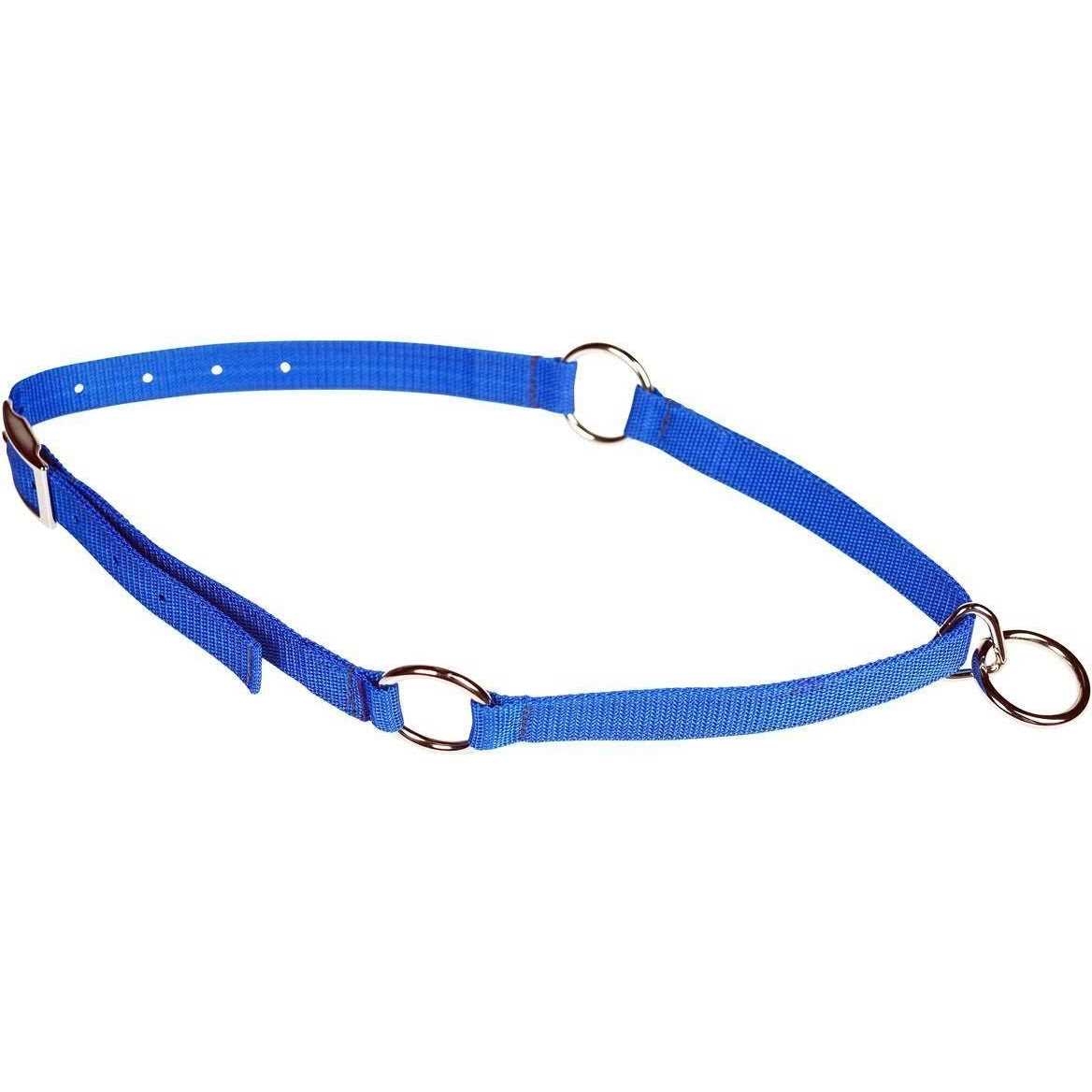Pet Neck Collar L90111