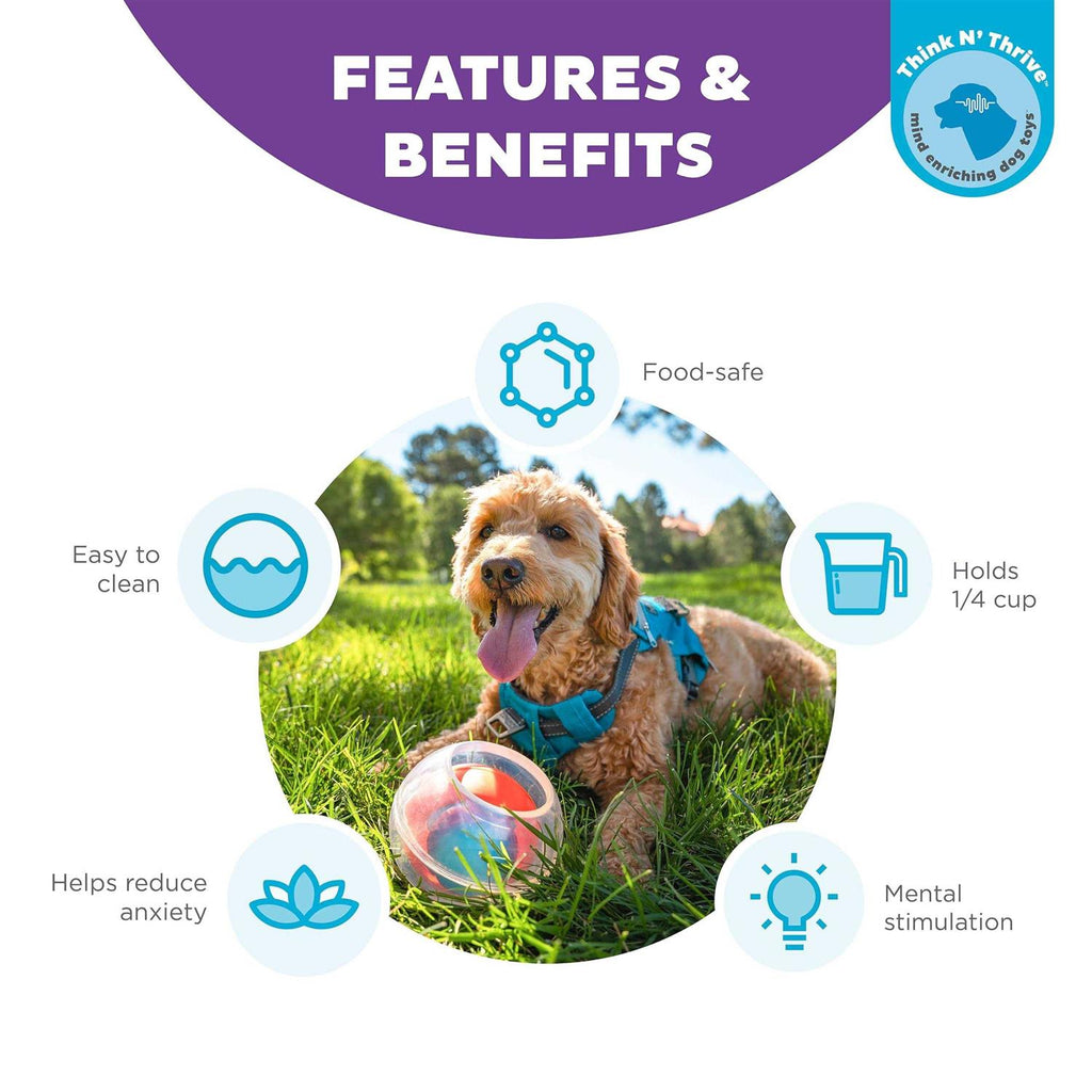 Interactive Ball Dog Toy S521