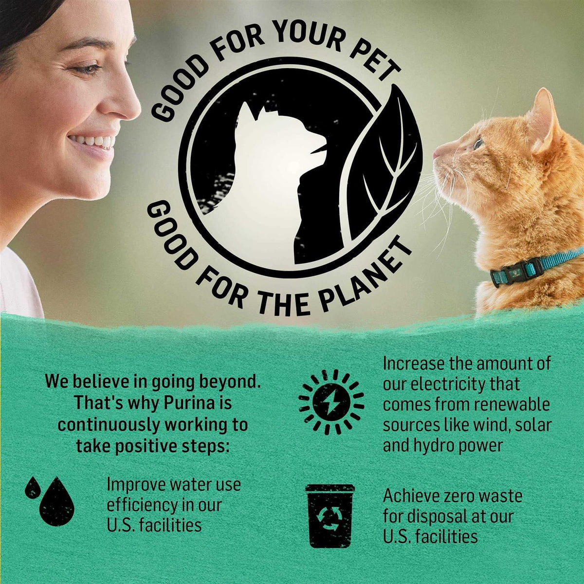 Grain Free Dry Cat Food M8006