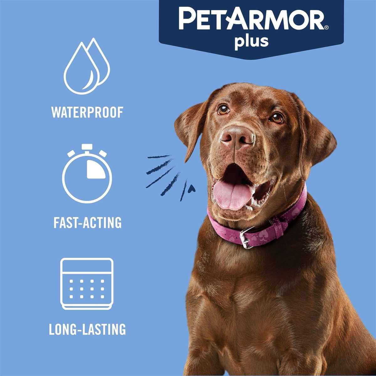 Flea and Tick Prevention for Large Dogs V579