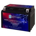 12V 11.2Ah Battery Y9942