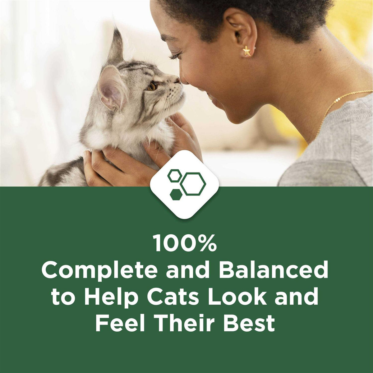 Indoor Dry Cat Food G67132