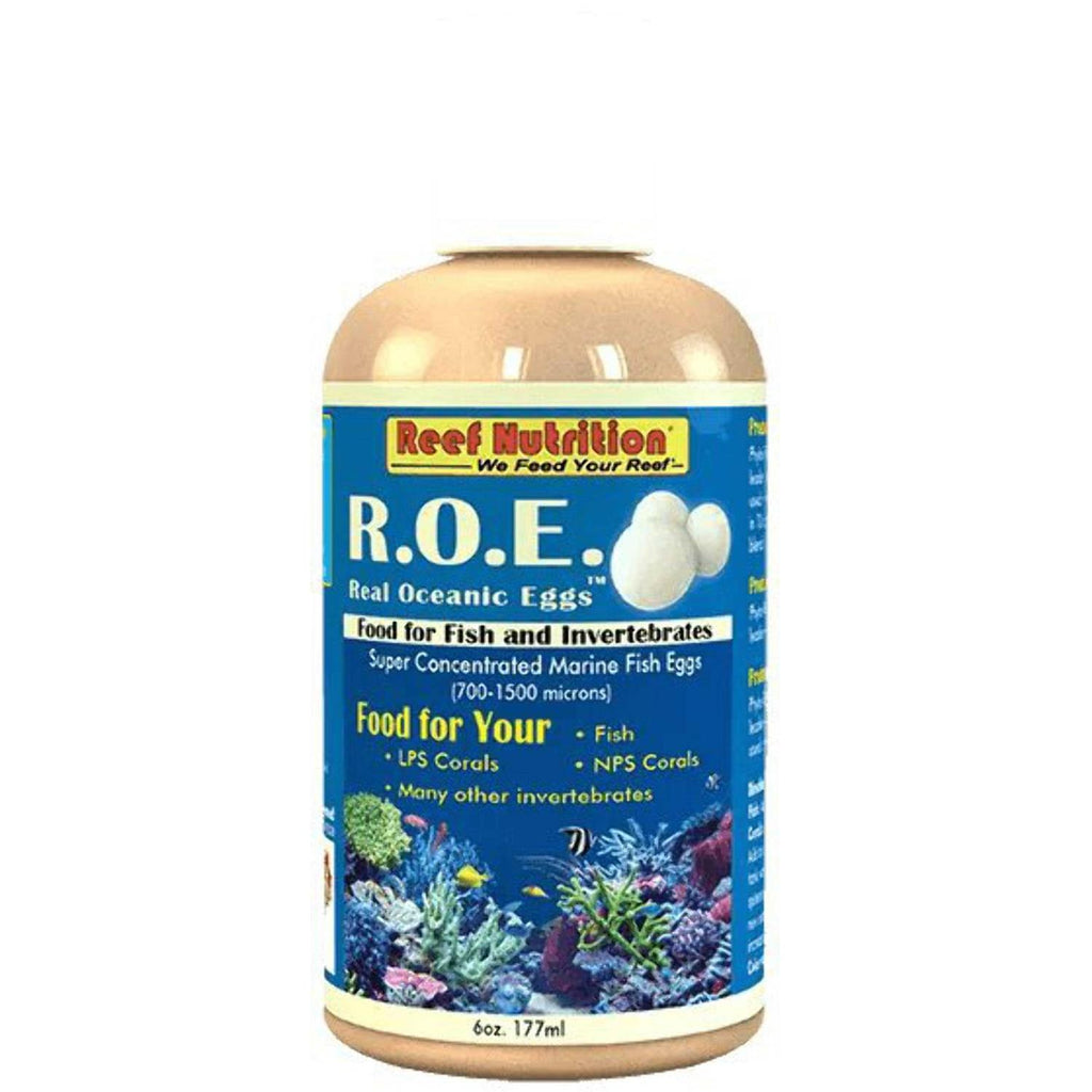 Real Oceanic Eggs Z933485