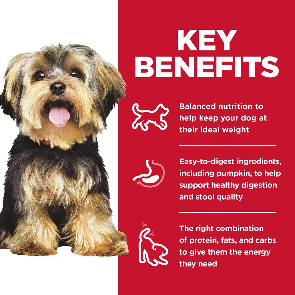 Dry Dog Food T929982