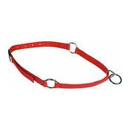 Pet Neck Collar L90111