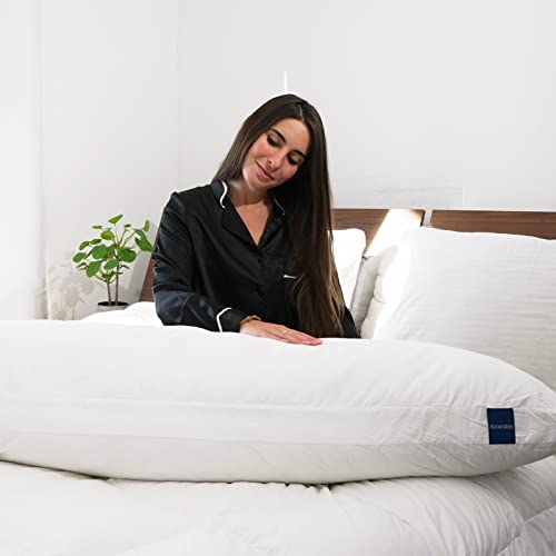 King Size Set of 2 Memory Foam Pillow N42338