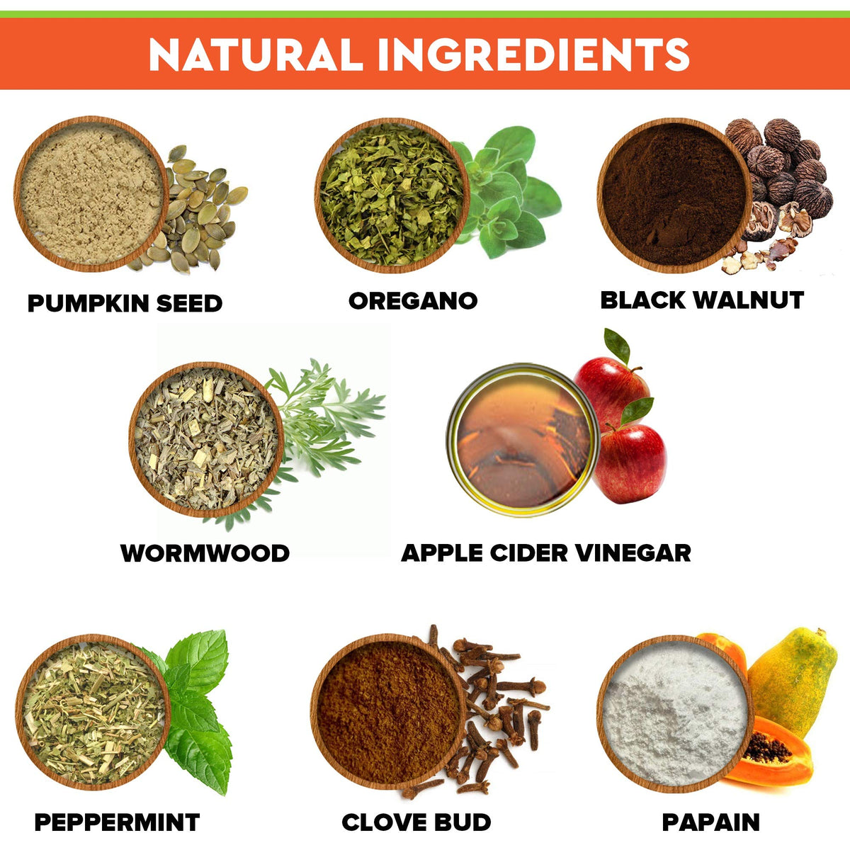 Herbal Cleanse for Dogs and Cats 2fl.oz Y365