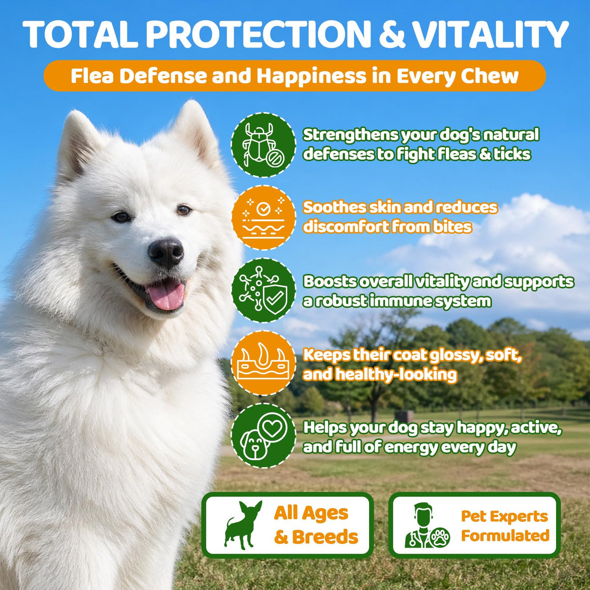 Flea and Tick Prevention for Dogs Chewables with Multivitamins, 500ct J797