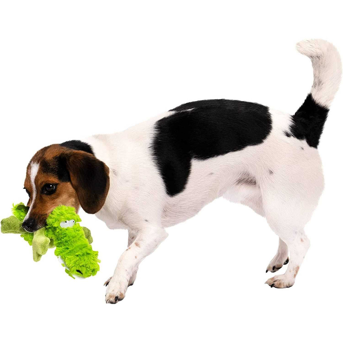 Dog Toy T454