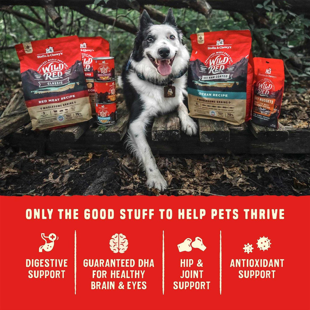 Grain Free High Protein Dry Dog Food V810