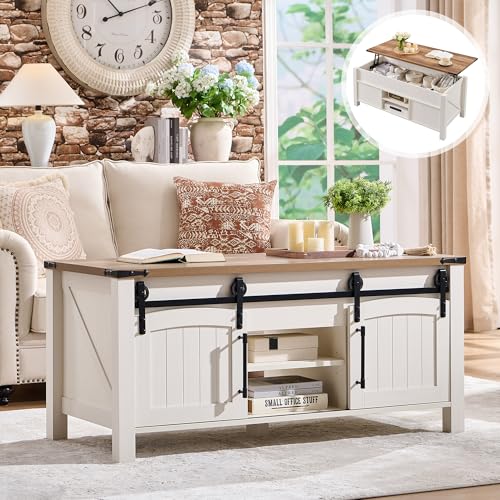 48" Lift Top Coffee Table with Sliding Door and Hidden Storage P547252