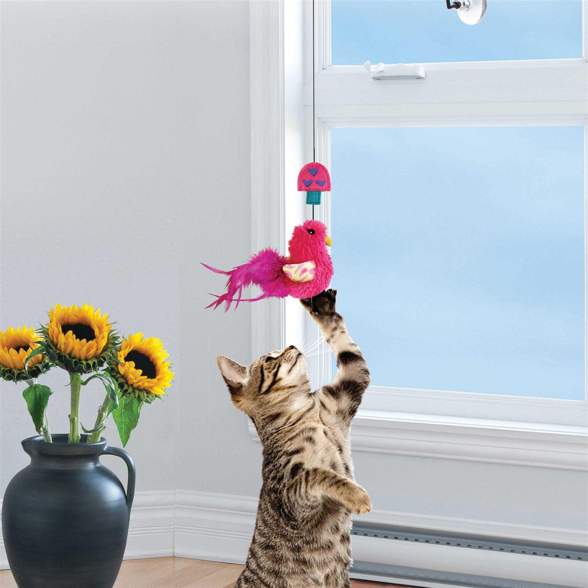Cat Teaser V492620