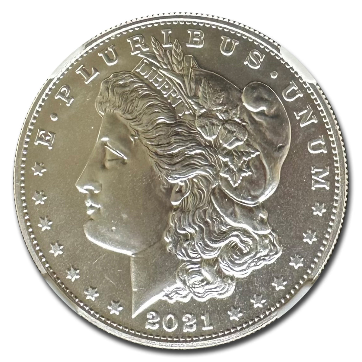 Silver Morgan Dollar D391