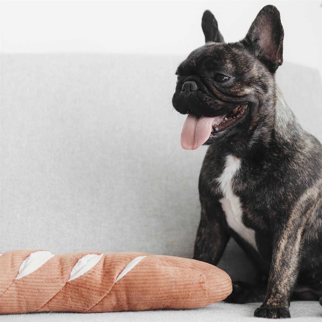Dog Toy D6233