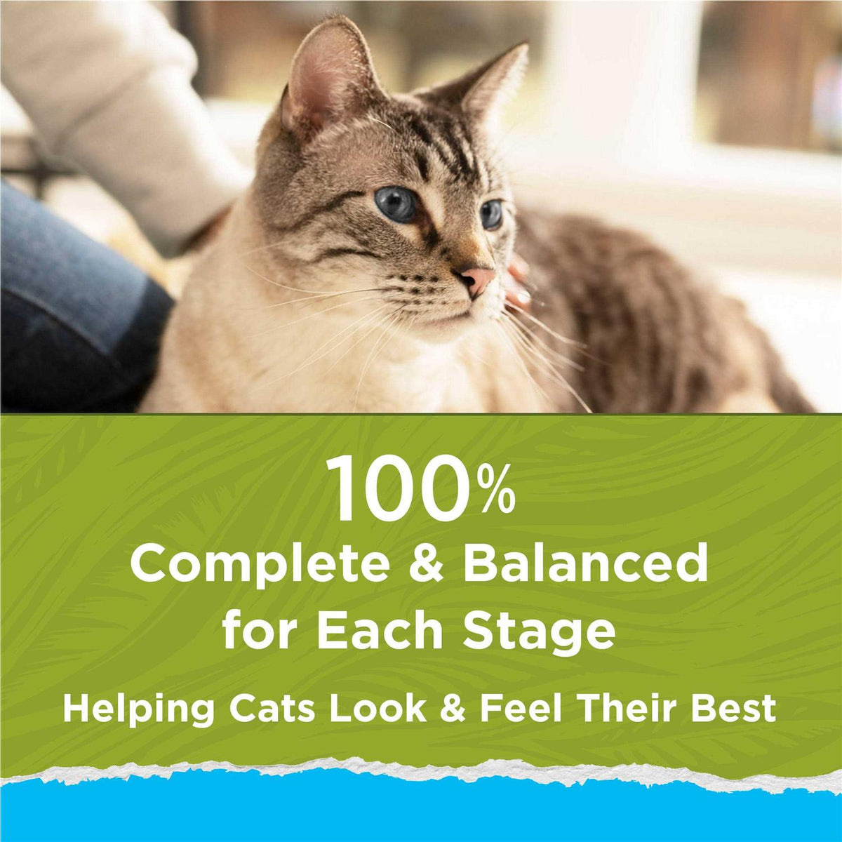 Indoor Dry Cat Food G759987