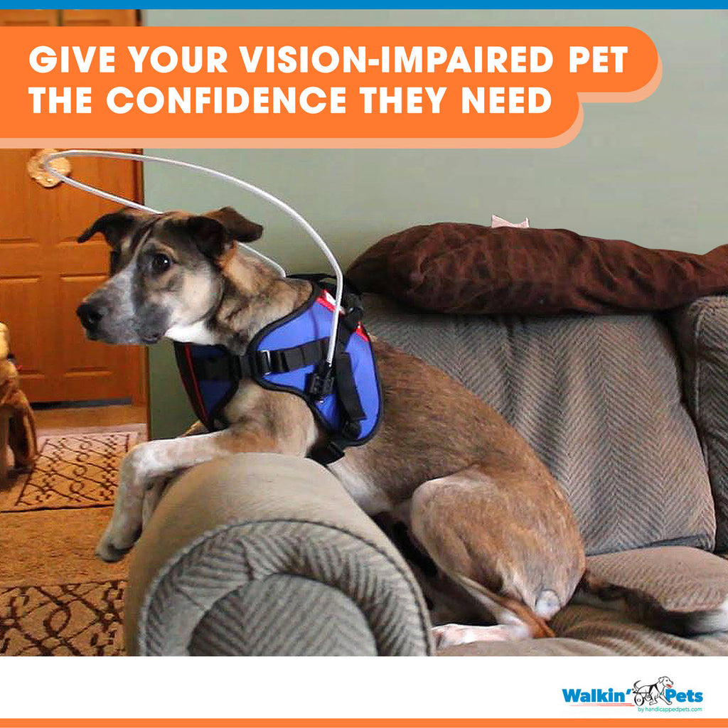 Blind Dog Halo Harness for Pets Over 30 lbs P59557