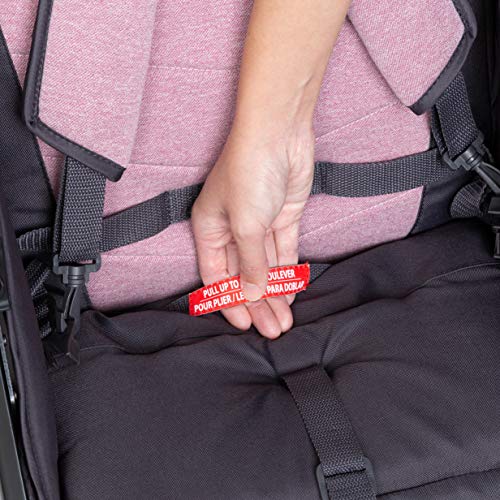 Tango Travel System Stroller with Bassinet and Playard J686