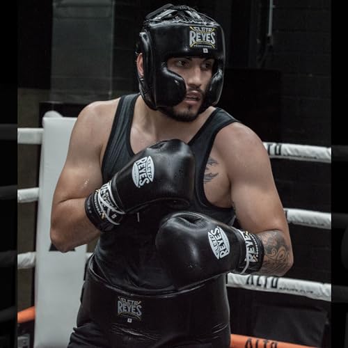 Traditional Professional Boxing Gloves with Laces T976