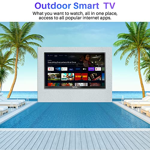 55 inch 4K Waterproof Outdoor Smart TV L176