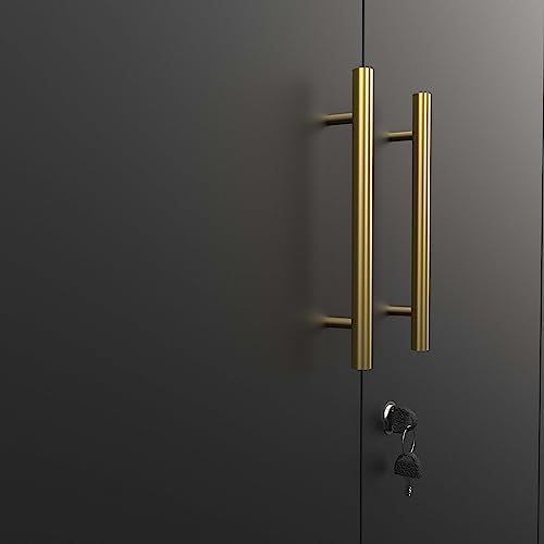 Black Metal Storage Cabinet with Locking Doors and Adjustable Shelves F457