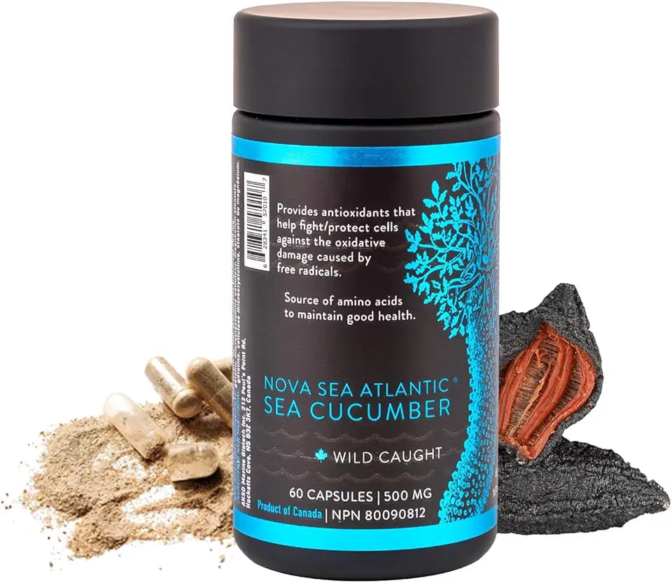 Sea Cucumber Capsules with Fucosylated Chondroitin 60 Capsules F656