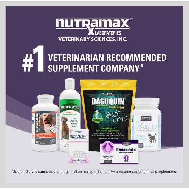 Liver Health Tablets Dogs Y70254