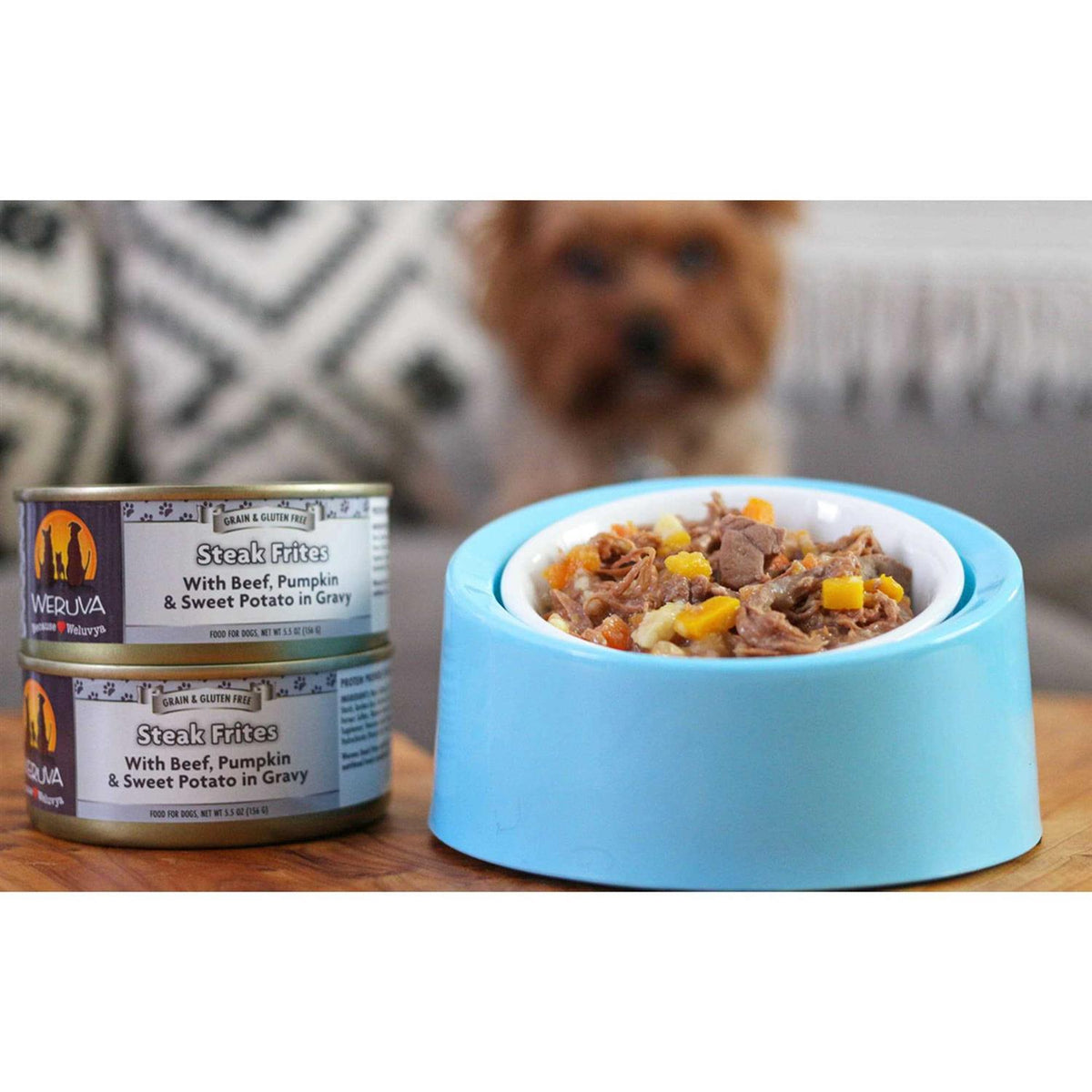Variety Pack Canned Dog Food C323978
