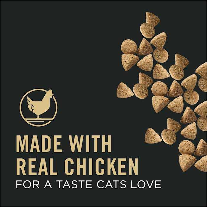 Adult Dry Cat Food F935310