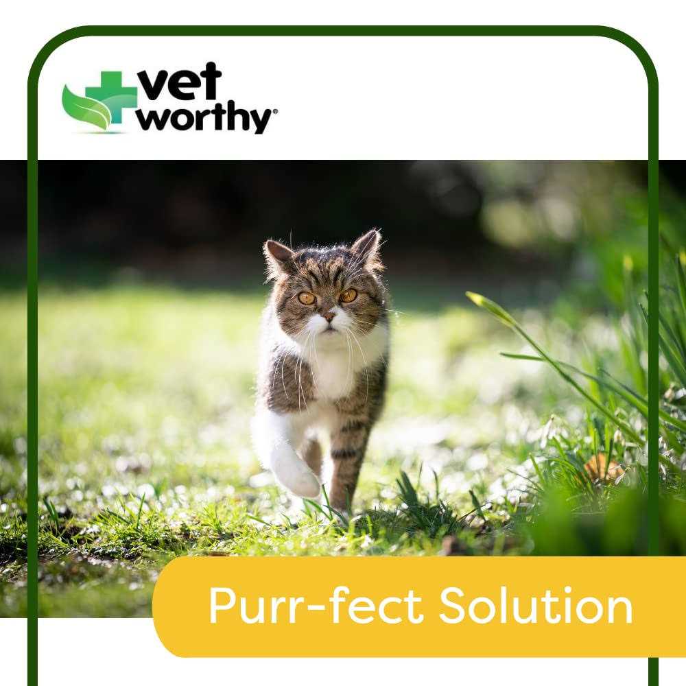 Urinary Aid Soft Chews for Cats N27242