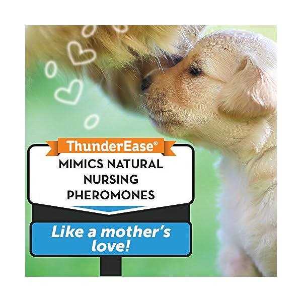 Calming Diffuser Kit Dog V678931